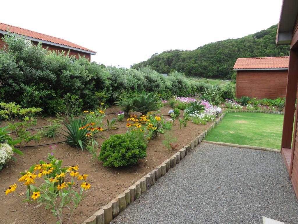 Villa Sitio Da Assumada à Lajes das Flores Extérieur photo
